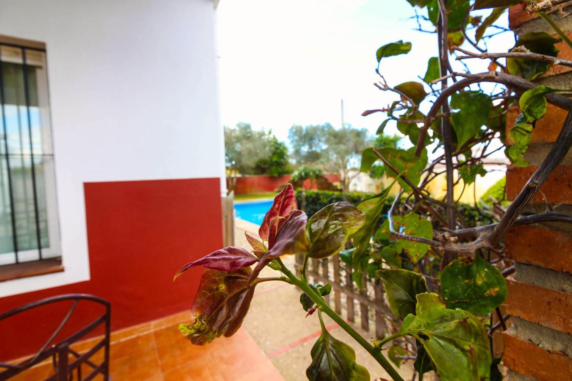 Los Candiles Conil De La Frontera Esterno foto