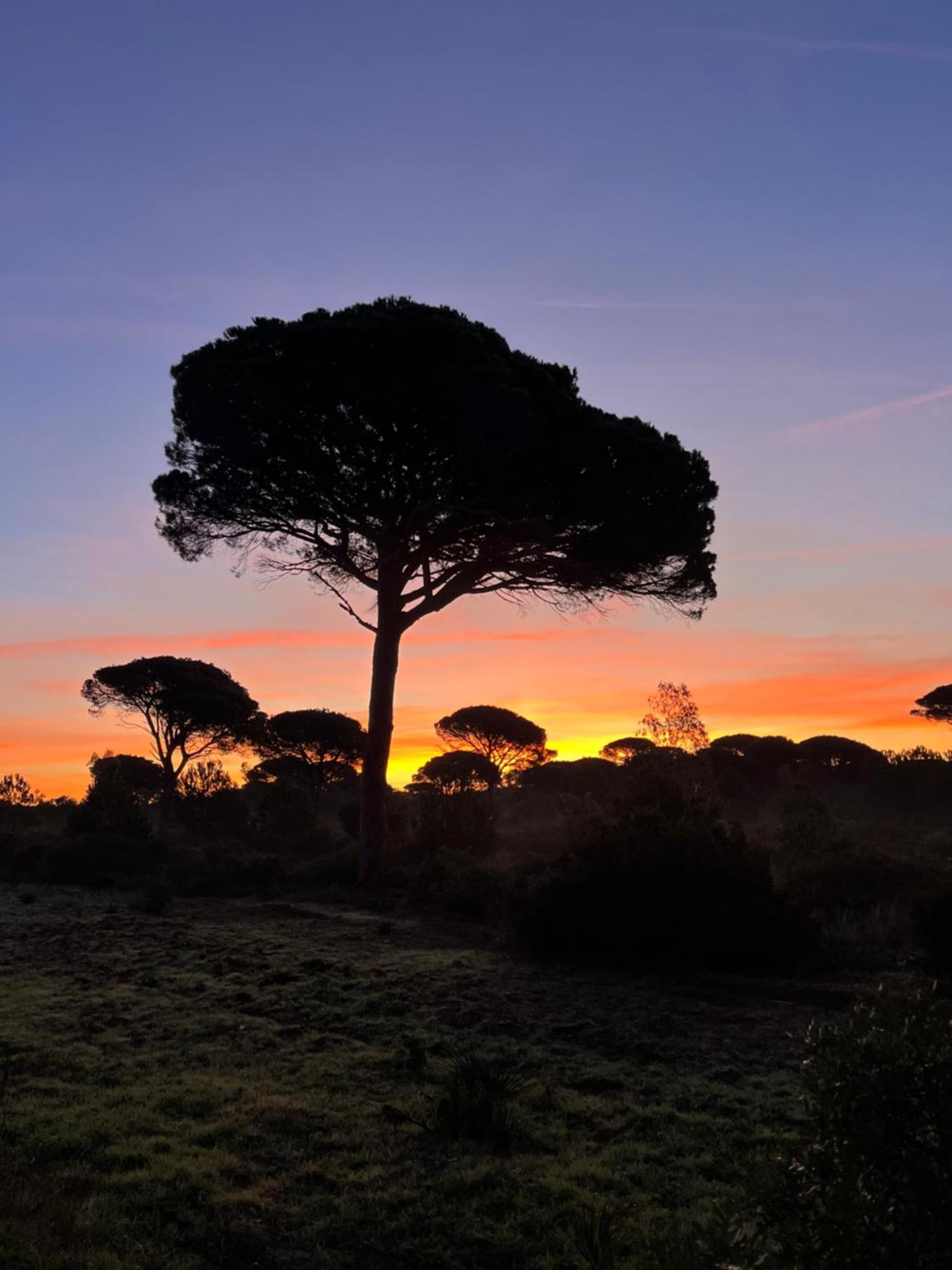 Los Candiles Conil De La Frontera Esterno foto